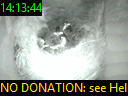 14:13:44
