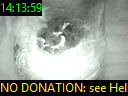 14:13:59