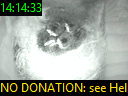 14:14:33