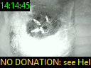 14:14:45