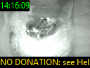 14:16:09