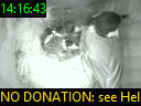 14:16:43