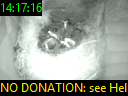 14:17:16