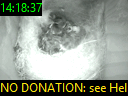 14:18:37