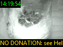 14:19:54