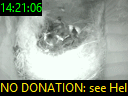 14:21:06