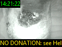 14:21:22