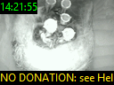 14:21:55