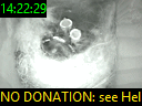 14:22:29