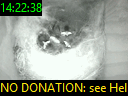 14:22:38