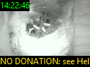 14:22:46