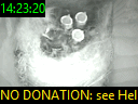 14:23:20