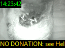 14:23:42