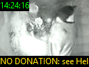 14:24:16