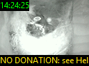 14:24:25