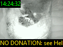 14:24:32