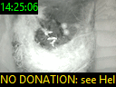 14:25:06