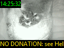 14:25:32