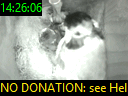 14:26:06