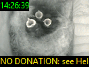 14:26:39