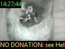 14:27:44
