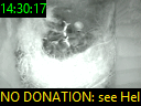 14:30:17