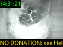 14:31:21