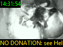14:31:54