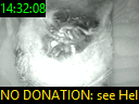 14:32:08