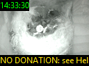 14:33:30