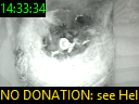 14:33:34