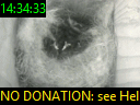 14:34:33