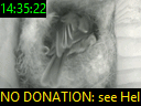 14:35:22