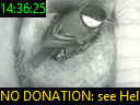14:36:25