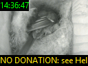 14:36:47