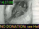 14:37:00