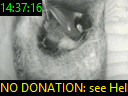 14:37:16