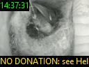 14:37:31
