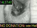 14:37:47