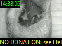 14:38:06