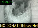 14:39:15