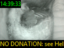 14:39:33