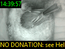 14:39:57