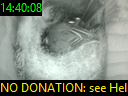 14:40:08