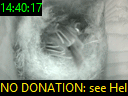 14:40:17