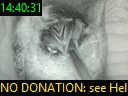 14:40:31