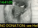 14:41:05