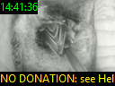 14:41:36