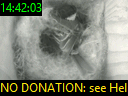 14:42:03