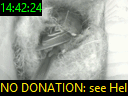14:42:24
